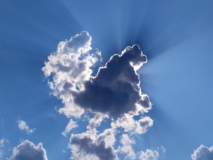 KOSMICZNY MIŚ. Zdjęcie zrobione na Modrzewinie podczas pięknej letniej pogody. (Sierpień 2021)