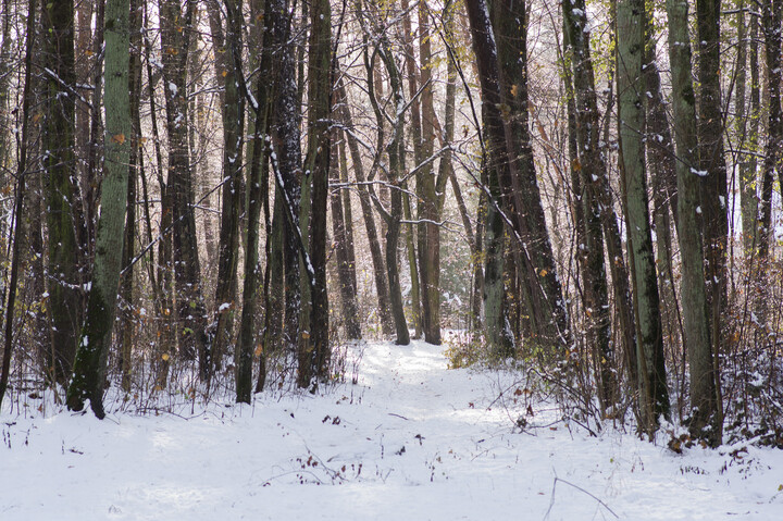 Kolorowa zima w Pasłęckim Parku Ekologicznym.  (Listopad 2023)