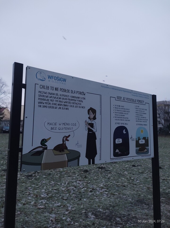 Karmienie kaczek. Nowa tablica w parku Traugutta. Super. Dobrze gdyby jeszcze karma dla kaczek była regularnie umieszczana w kaczkomatach a te były naprawiane. (Styczeń 2024)