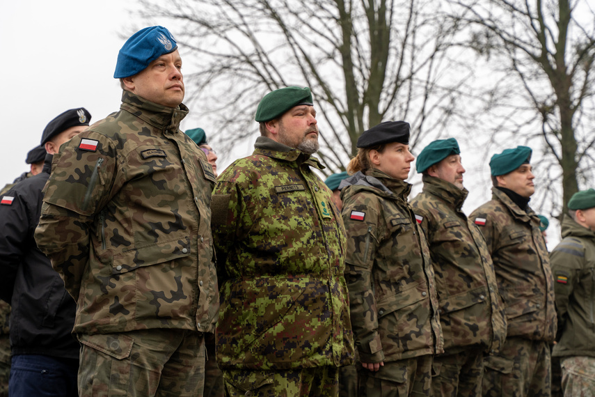 Przywitali Szwecję w NATO zdjęcie nr 303954