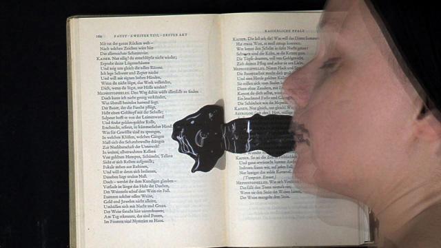 Monika Weiss Reading Goethe (Plucie) 2008, video.