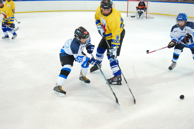 Turniej mini – hokeja na lodowisku MOSiR zdjęcie nr 33429