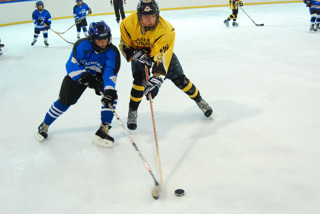 Turniej mini – hokeja na lodowisku MOSiR zdjęcie nr 33432