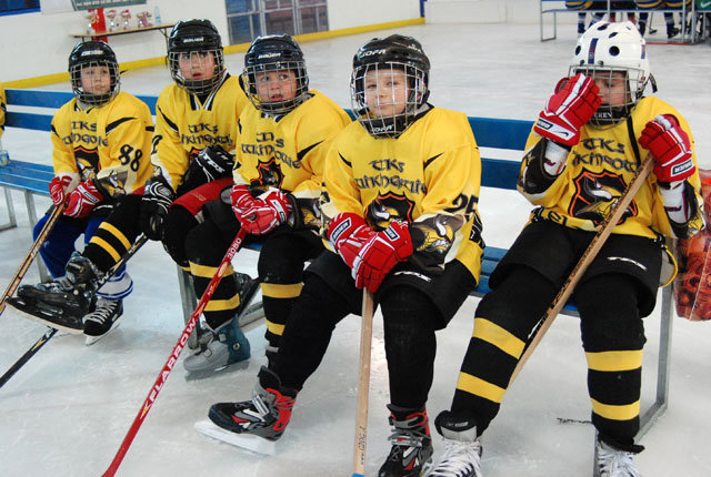 Turniej mini – hokeja na lodowisku MOSiR zdjęcie nr 33414