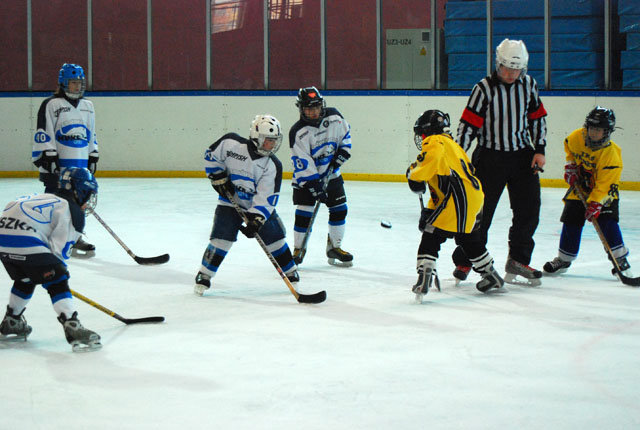 Turniej mini – hokeja na lodowisku MOSiR zdjęcie nr 33416
