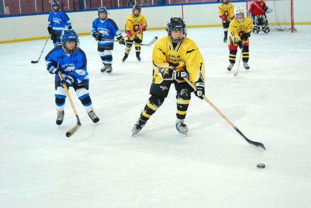 Turniej mini – hokeja na lodowisku MOSiR zdjęcie nr 33430