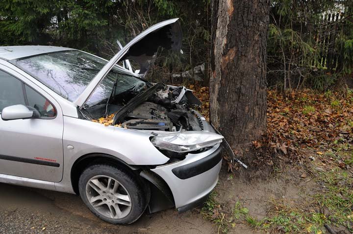 Peugeot uderzył w drzewo zdjęcie nr 41150