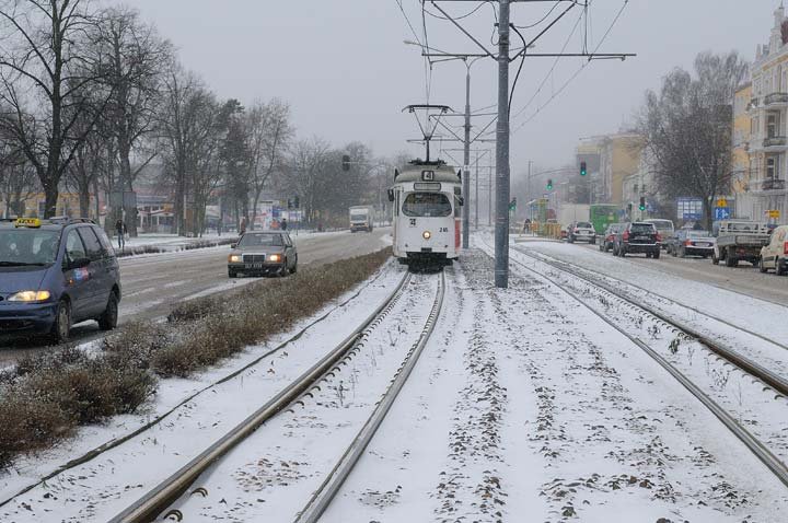Do Elbląga zawitała śnieżna zima zdjęcie nr 41355