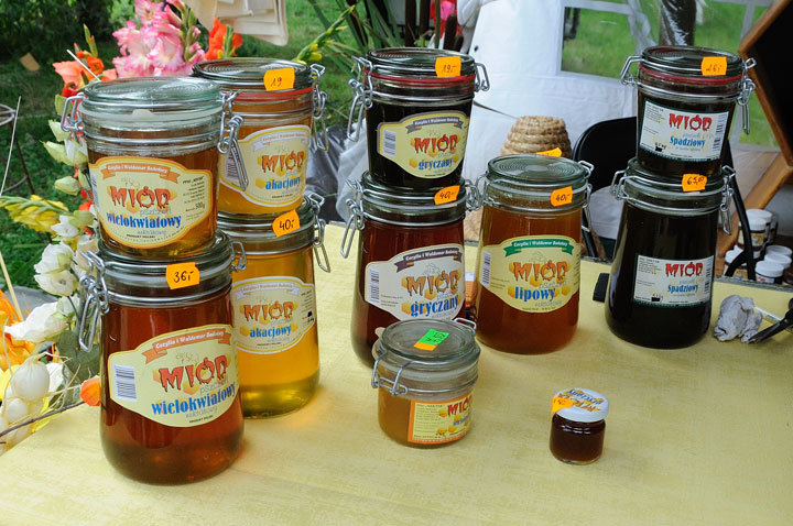 IX Targi Pszczelarskie i Tradycyjnej Żywności w Karczowiskach Górnych zdjęcie nr 47862
