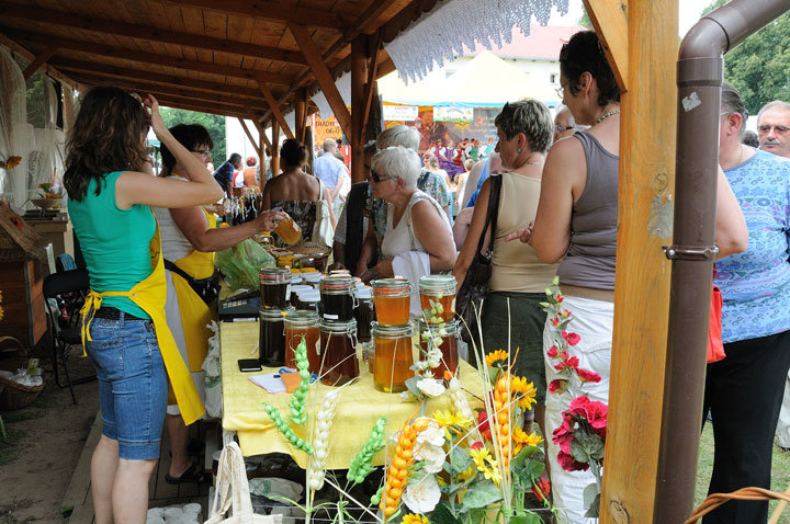 IX Targi Pszczelarskie i Tradycyjnej Żywności w Karczowiskach Górnych zdjęcie nr 47863