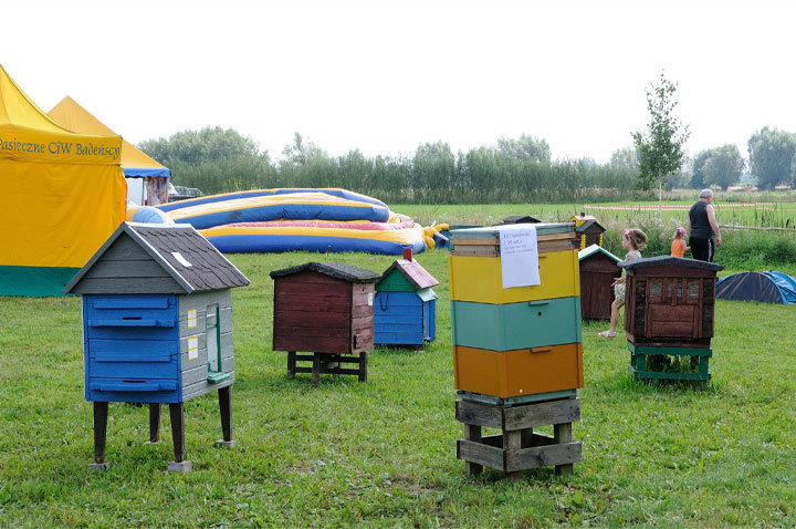 IX Targi Pszczelarskie i Tradycyjnej Żywności w Karczowiskach Górnych zdjęcie nr 47823