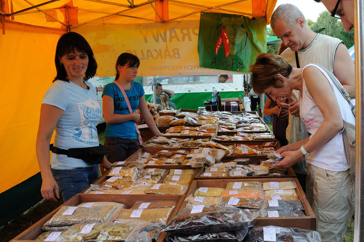 IX Targi Pszczelarskie i Tradycyjnej Żywności w Karczowiskach Górnych zdjęcie nr 47843