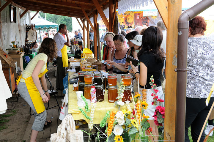IX Targi Pszczelarskie i Tradycyjnej Żywności w Karczowiskach Górnych zdjęcie nr 47821