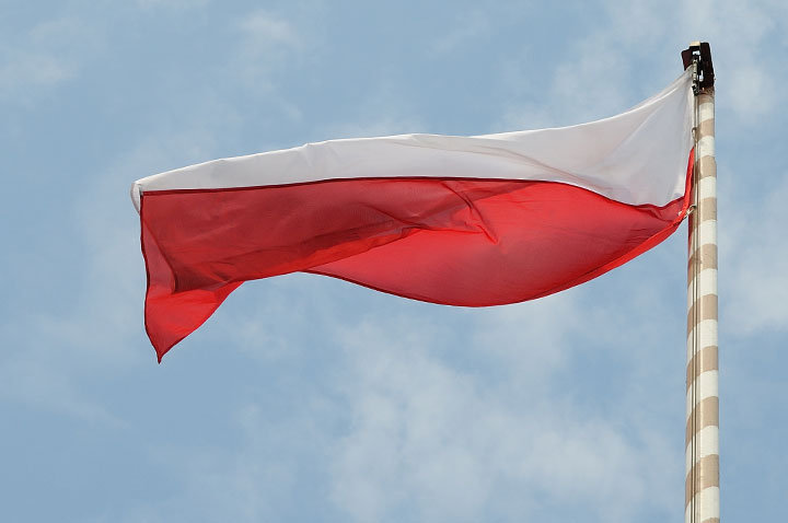Święto Wojska Polskiego zdjęcie nr 47933