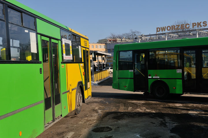 Autobusy komunikacji miejskiej w Elblągu zdjęcie nr 53026