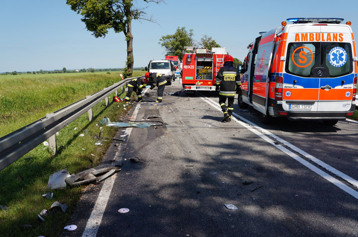 Śmiertelny wypadek na trasie Elbląg-Malbork zdjęcie nr 58317