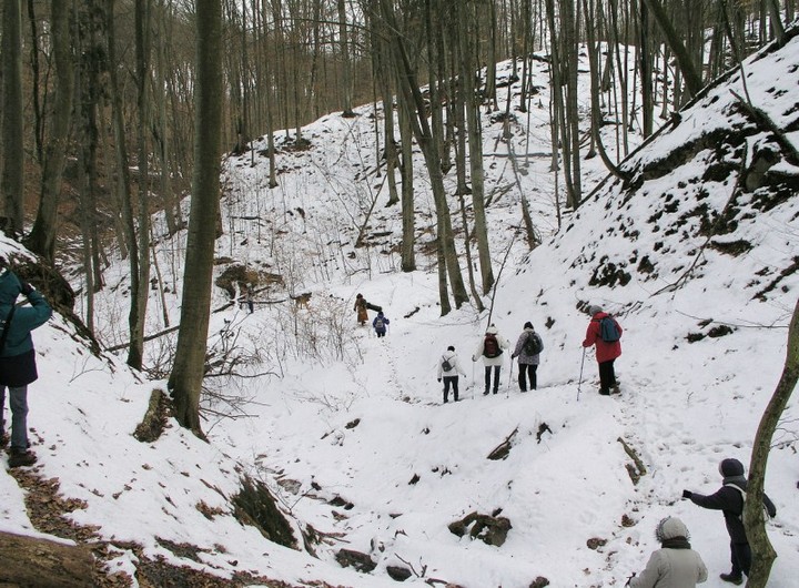 III zimowy spacer po Wysoczyżnie Elbląskiej z aparatem fotograficznym zdjęcie nr 66789