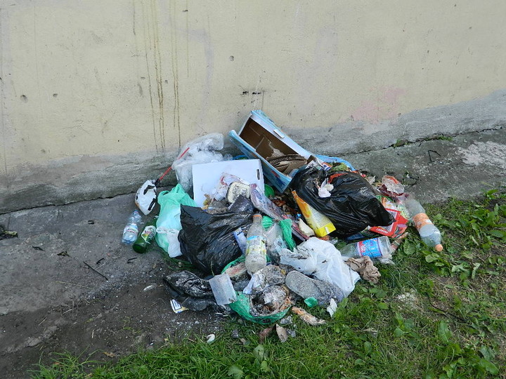Śmieci nas nie zasypały, ale… zdjęcie nr 72527