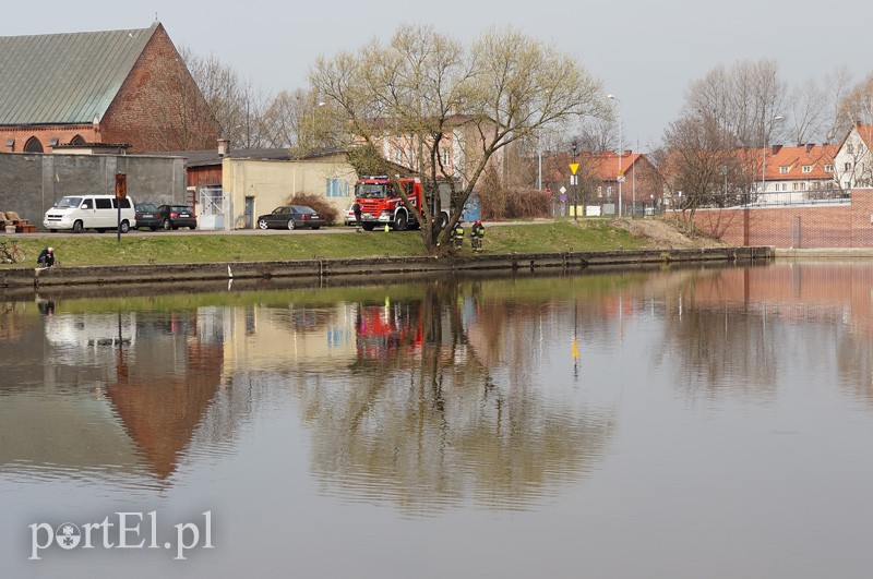 Plama oleju na rzece Elbląg zdjęcie nr 85241