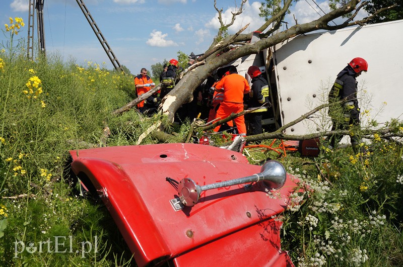 Kazimierzowo: ciężarówką w drzewo zdjęcie nr 87845