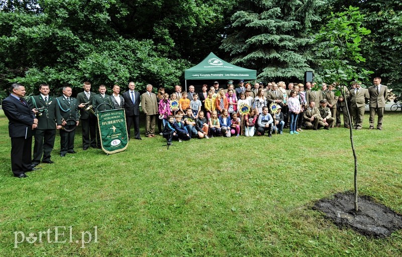 Niech ten dąb przypomina nam o drodze do wolności zdjęcie nr 88923