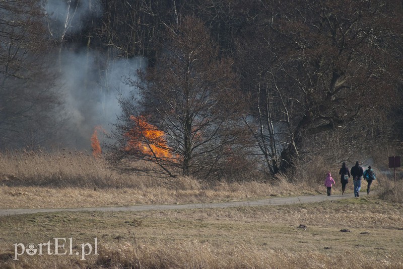 Płonęły trawy w Kadynach zdjęcie nr 102259