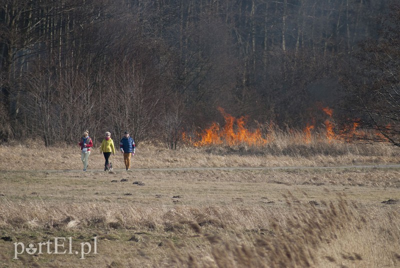 Płonęły trawy w Kadynach zdjęcie nr 102260