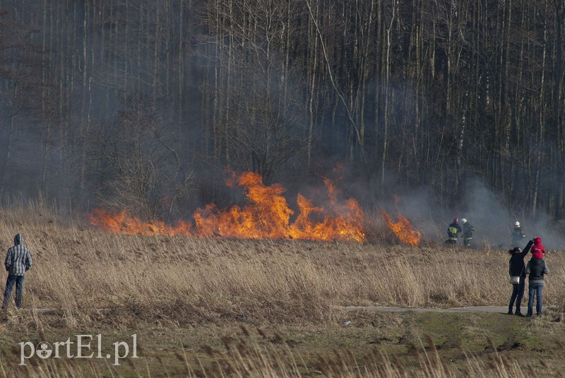 Płonęły trawy w Kadynach zdjęcie nr 102264
