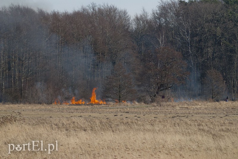 Płonęły trawy w Kadynach zdjęcie nr 102261
