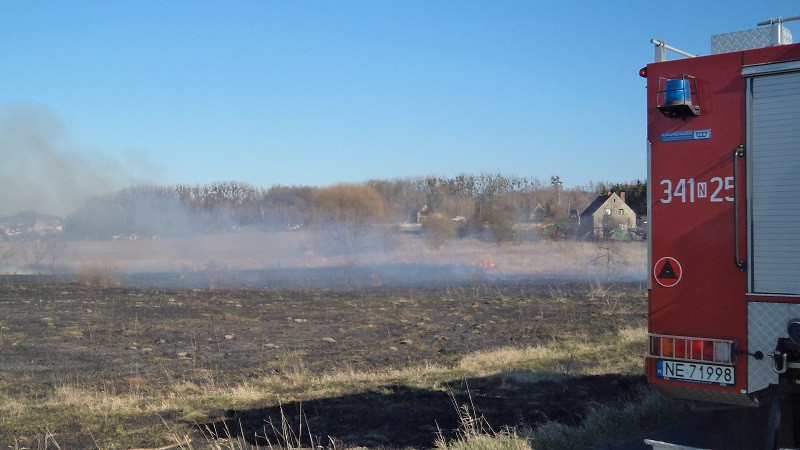 Groźny pożar traw na przedmieściach zdjęcie nr 102500