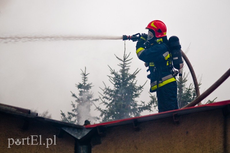  Pożar stolarni na Łęczyckiej zdjęcie nr 117711