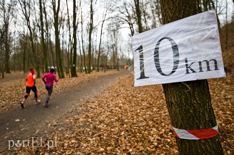 Półmaraton leśny zdjęcie nr 123105