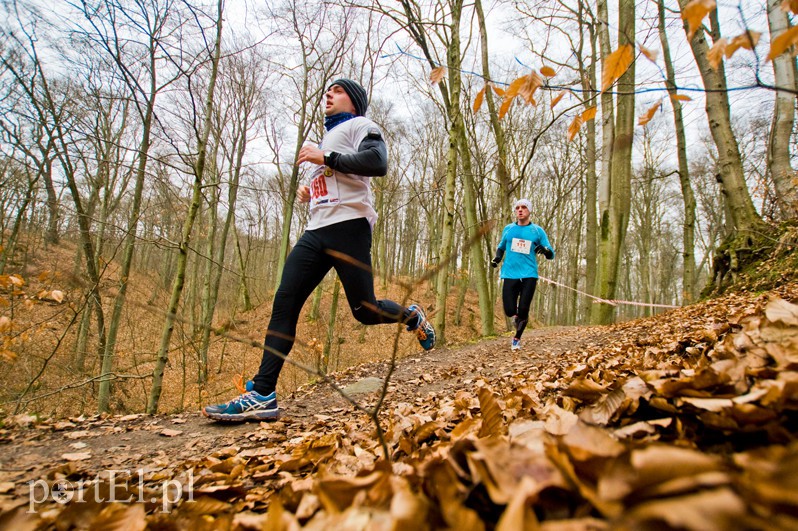 Półmaraton leśny zdjęcie nr 123095