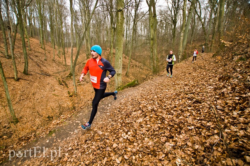 Półmaraton leśny zdjęcie nr 123090