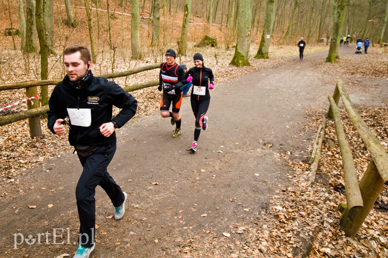 Półmaraton leśny zdjęcie nr 123103