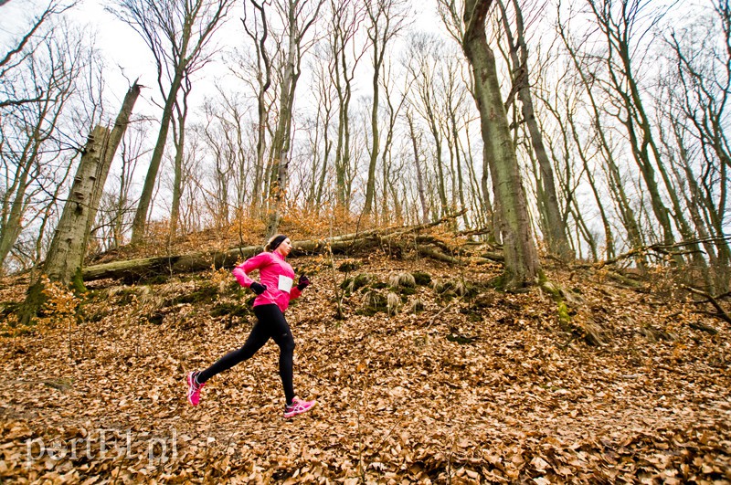 Półmaraton leśny zdjęcie nr 123096