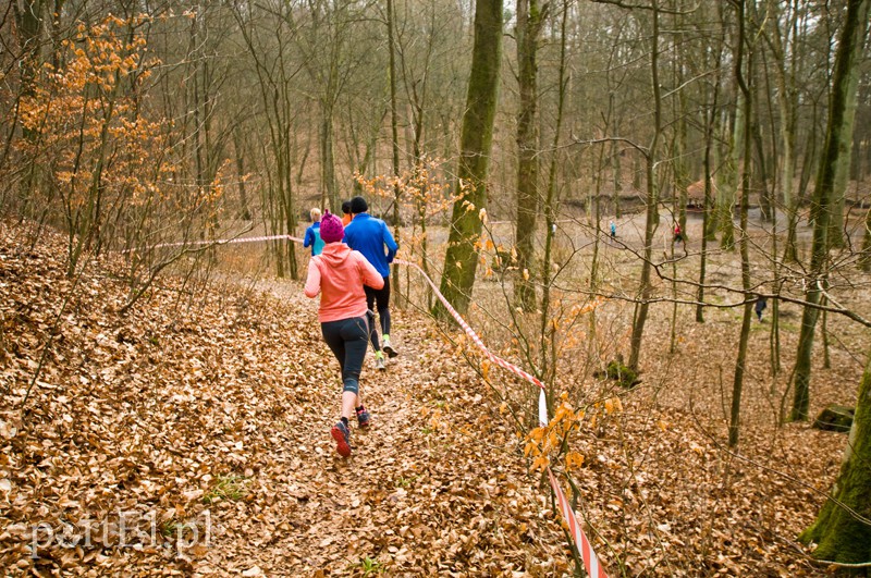 Półmaraton leśny zdjęcie nr 123098