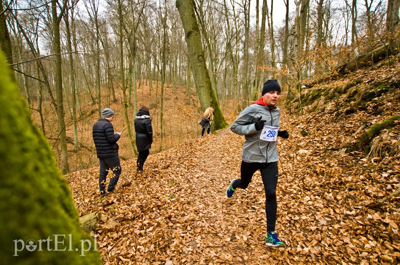 Półmaraton leśny zdjęcie nr 123097