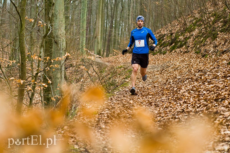 Półmaraton leśny zdjęcie nr 123088
