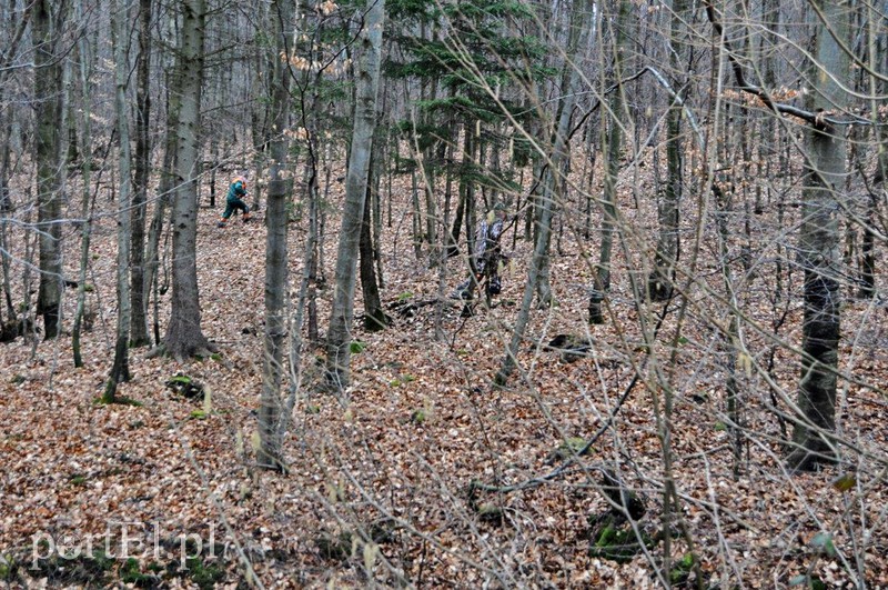 (Nie)obliczalni mieszkańcy lasu zdjęcie nr 123368