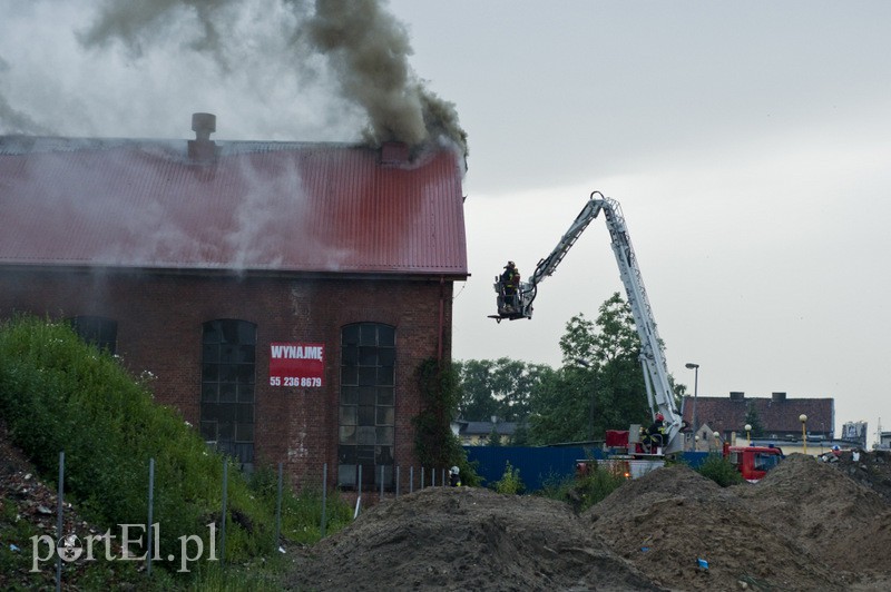 Pożar hali przy Grunwaldzkiej zdjęcie nr 130814
