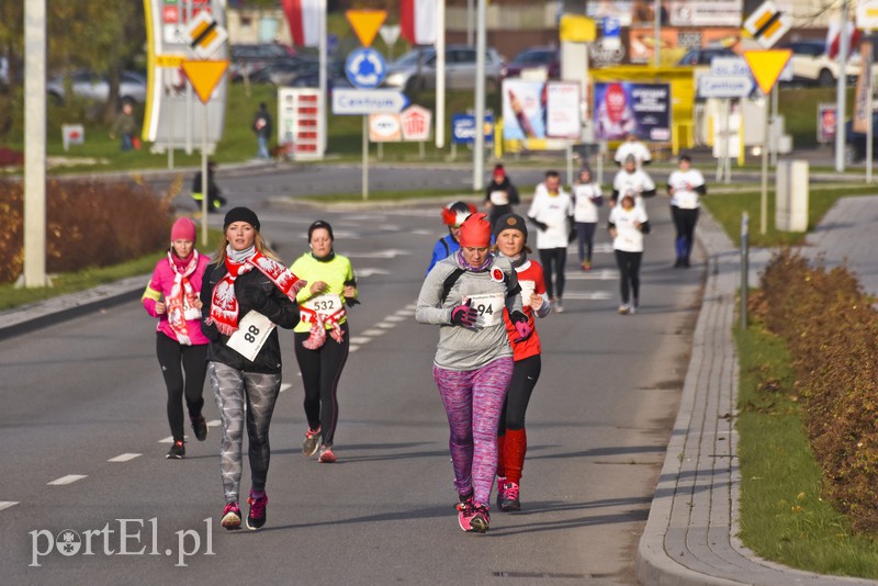Rekordowy Bieg Niepodległości, biegacz z Olsztyna najszybszy zdjęcie nr 139701