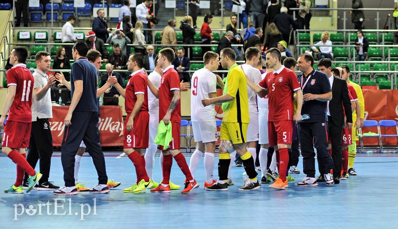 Polska przegrywa z Serbią w eliminacjach Mistrzostw Europy zdjęcie nr 149545