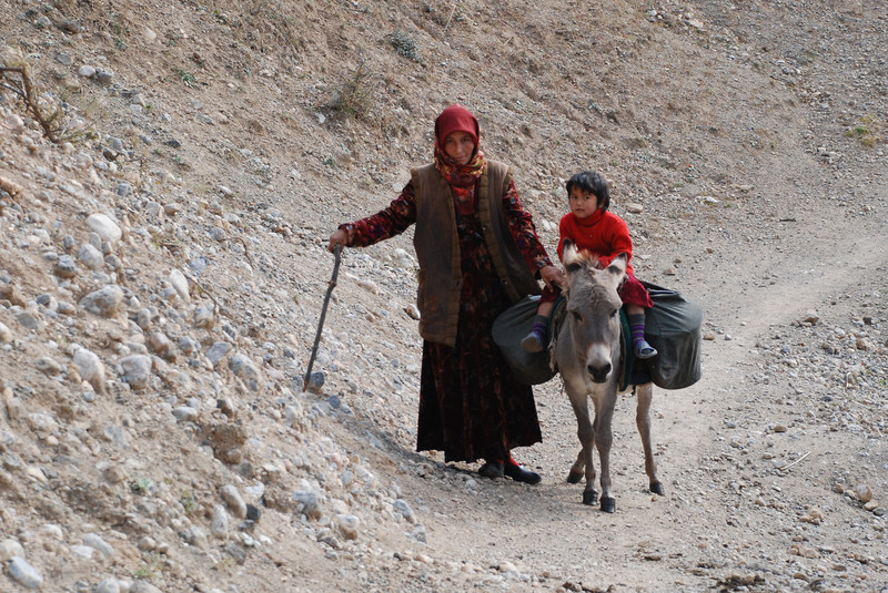 Hipisów szukaj w Kirgistanie zdjęcie nr 154117