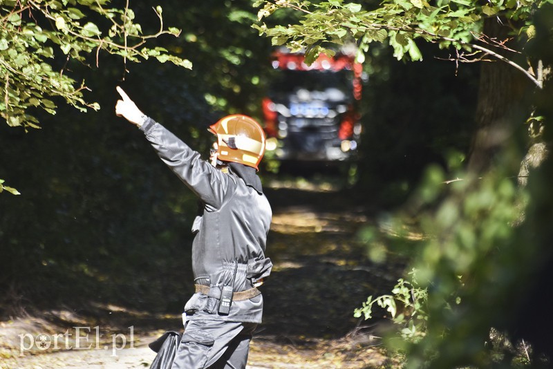 Strażacy kontra żywioł. Wielkie ćwiczenia we Fromborku zdjęcie nr 160515