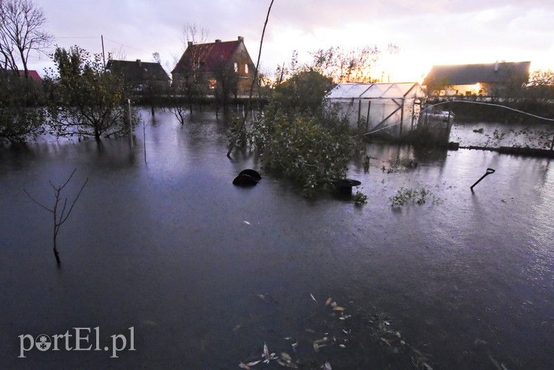 Przybywa wody w Kumieli i rzece Elbląg (aktualizacja) zdjęcie nr 163581