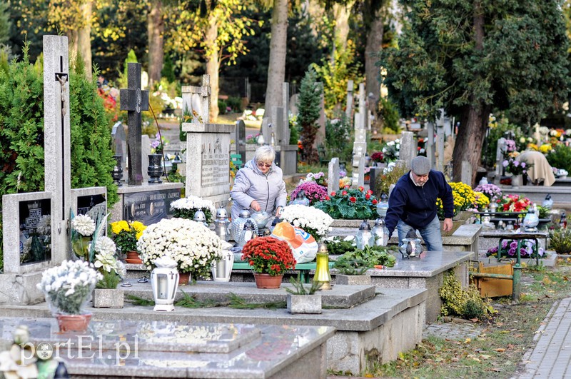 Cmentarz Agrykola, 31.10.2017 zdjęcie nr 163752