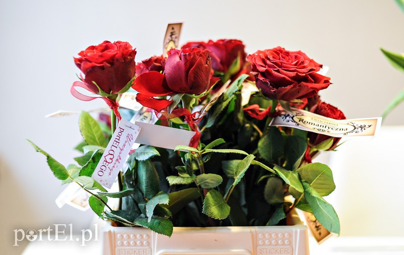 Piękne róże dla pięknych pań! zdjęcie nr 171205