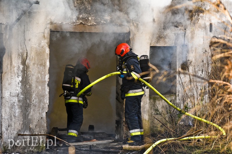 Pożar pustostanu przy ul. Druskiej zdjęcie nr 172880