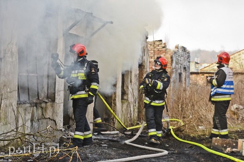 Pożar pustostanu przy ul. Druskiej zdjęcie nr 172884